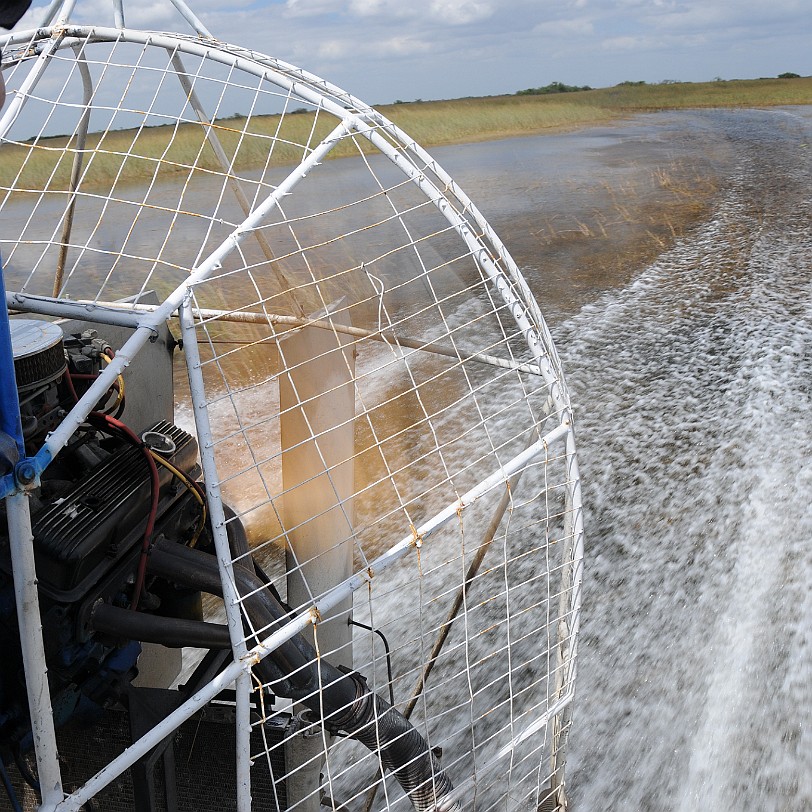 DSC_8154 Florida City nach Naples, Florida, USA Eine Airboat Tour ist ein absolutes Muss. Man darf nur keine empfindlichen Ohren haben, da diese Teile doch superlaut...